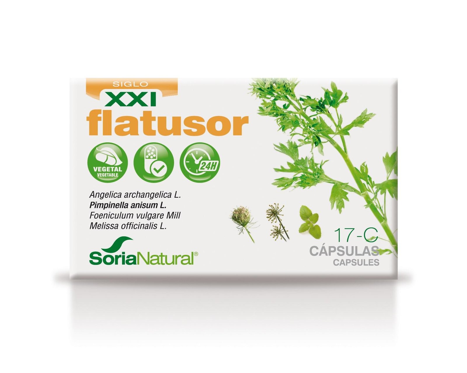 Flatusor Cápsulas Soria Natural